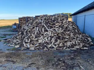 brænde af nåletræ gratis lev.