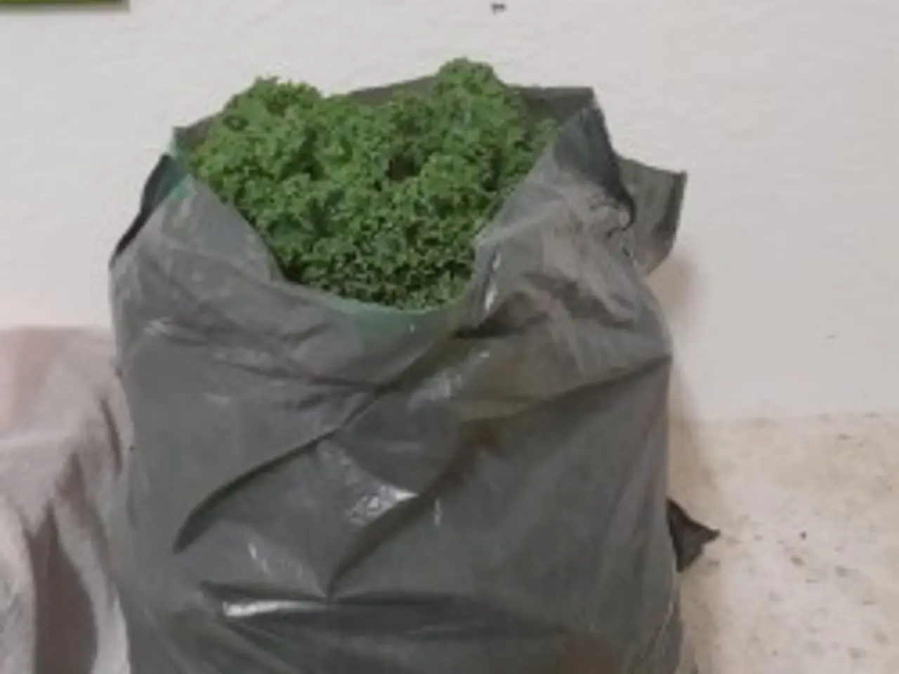 Billede 3 - Grønkål sælges fra gårdbutik