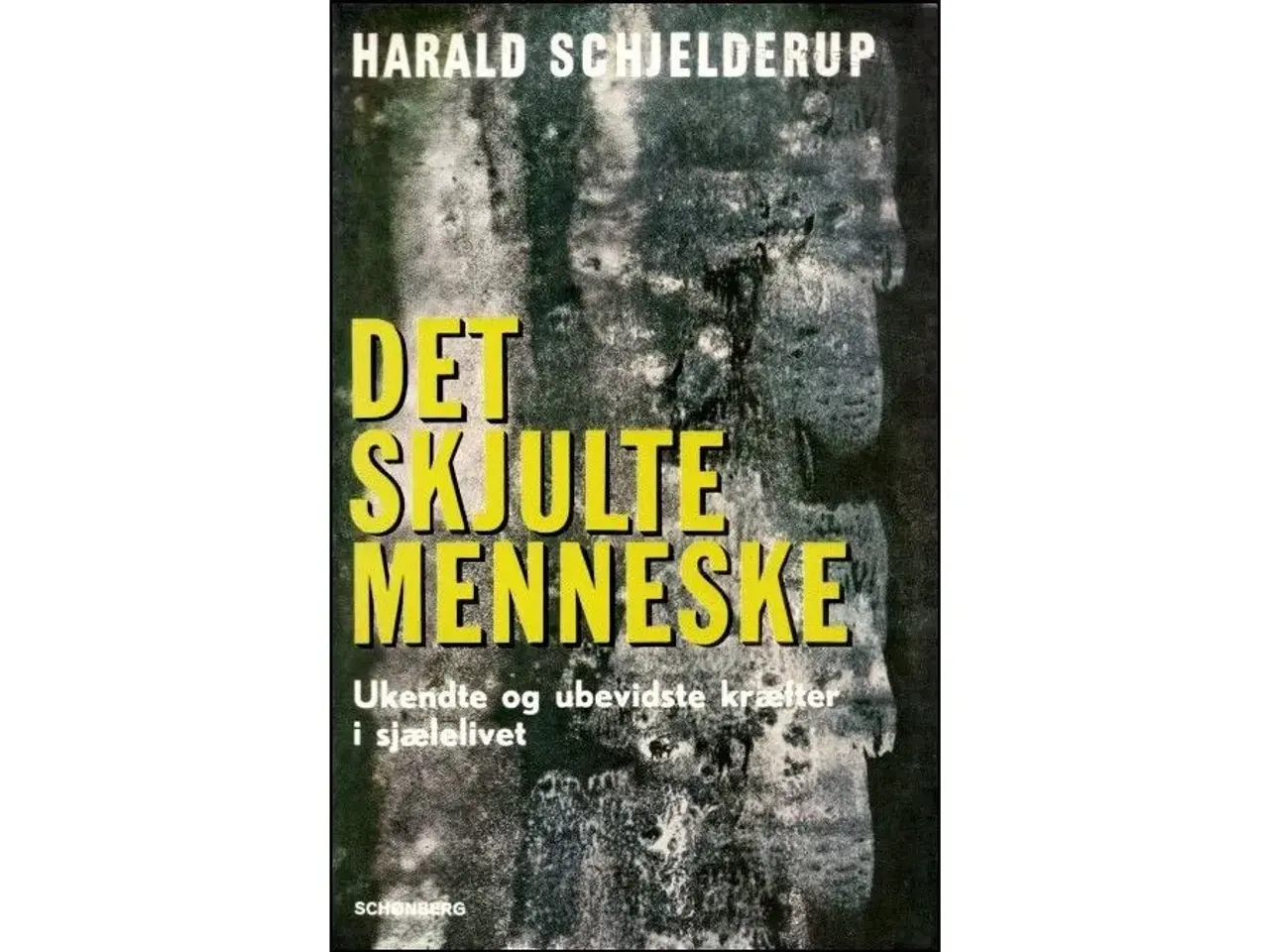 Billede 1 - Det skjulte Menneske