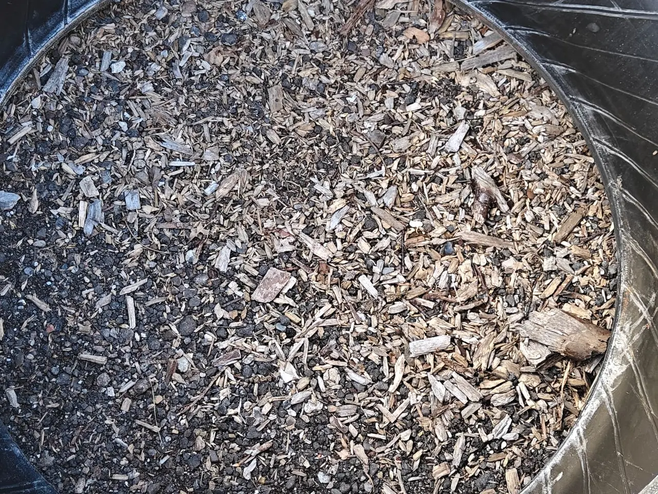 Billede 12 - Trelleborg 540/65R28 XXX