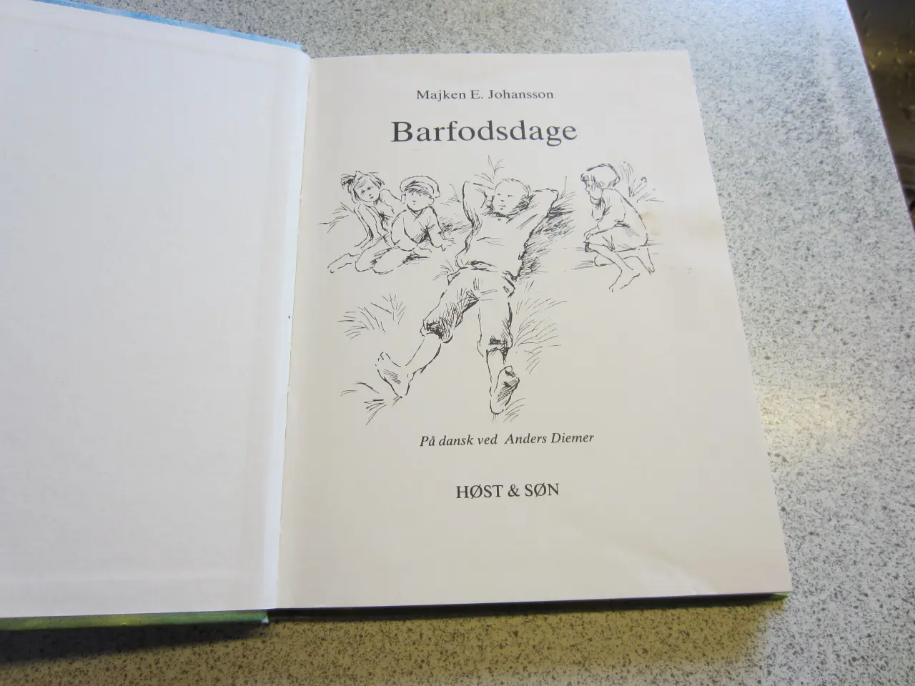 Billede 3 - Bog - Barfodsdage af Majken E. Johansson