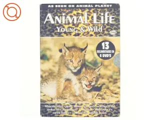 Animal life, young and wild DVD