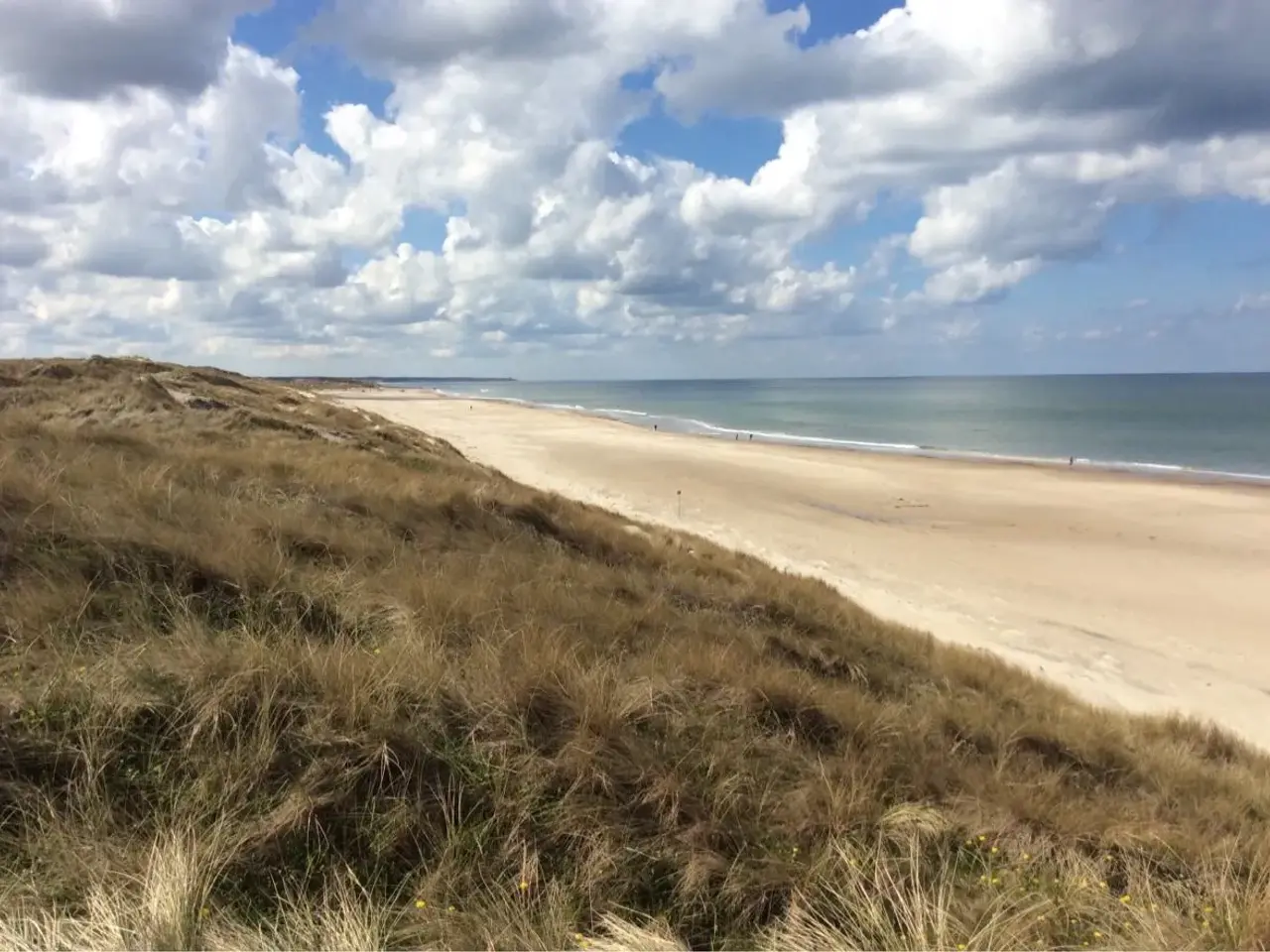 Billede 17 - Tornby Strand Nordjylland v/Hirtshals udlejes