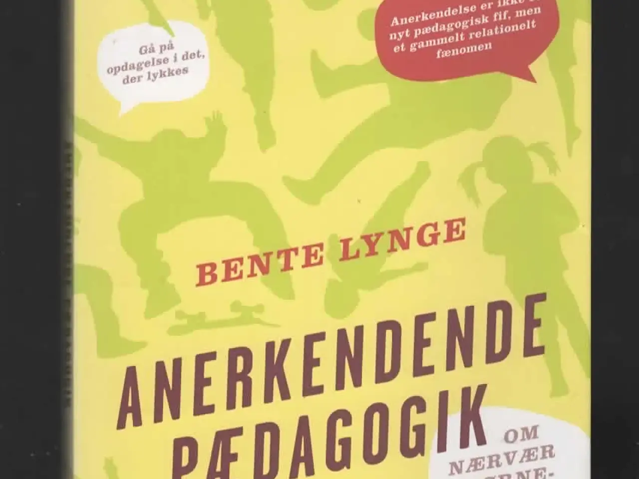 Billede 2 - pædagogik -anerkendende