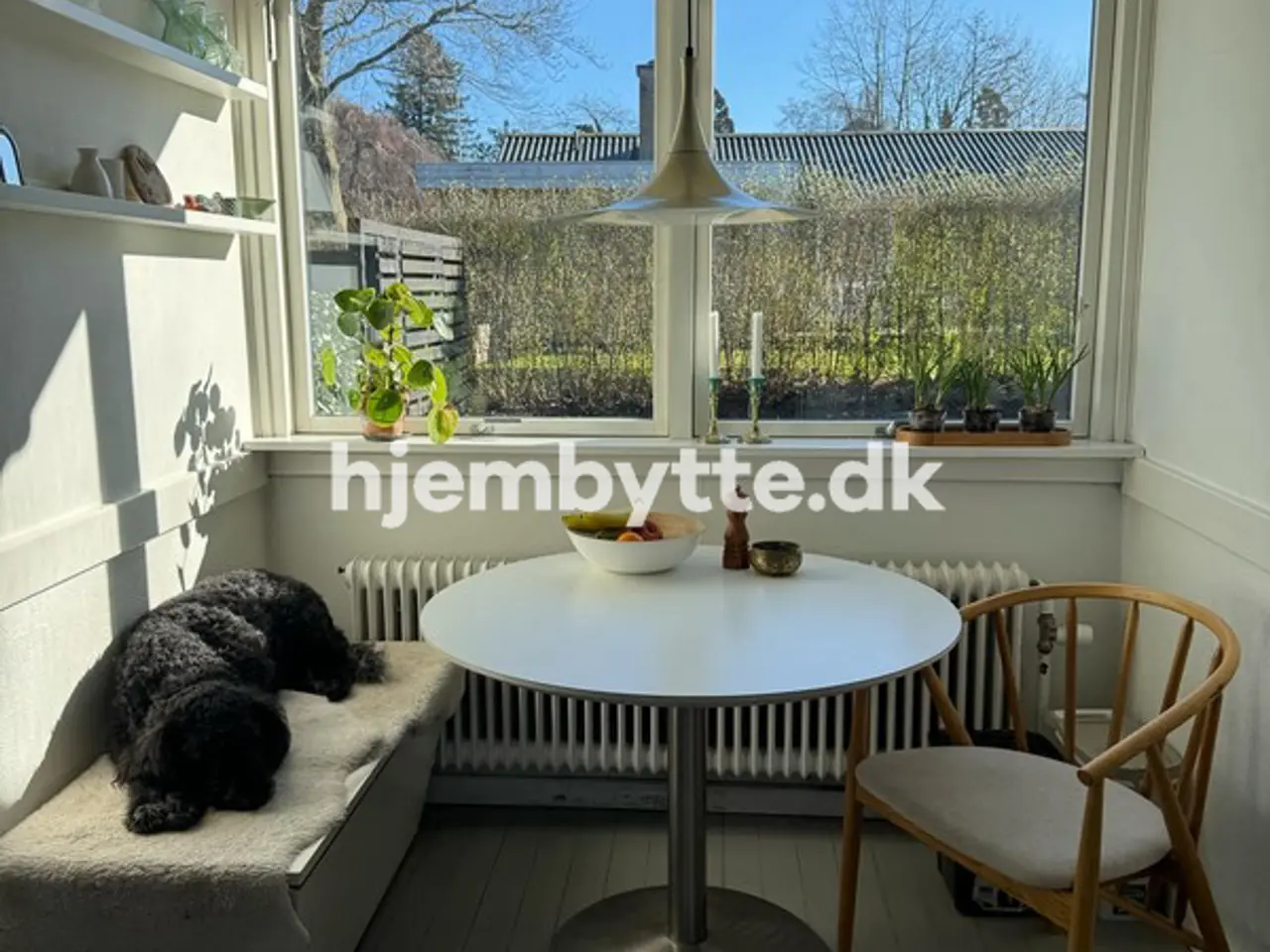 Billede 11 - Hjembytte - Æblerosestien