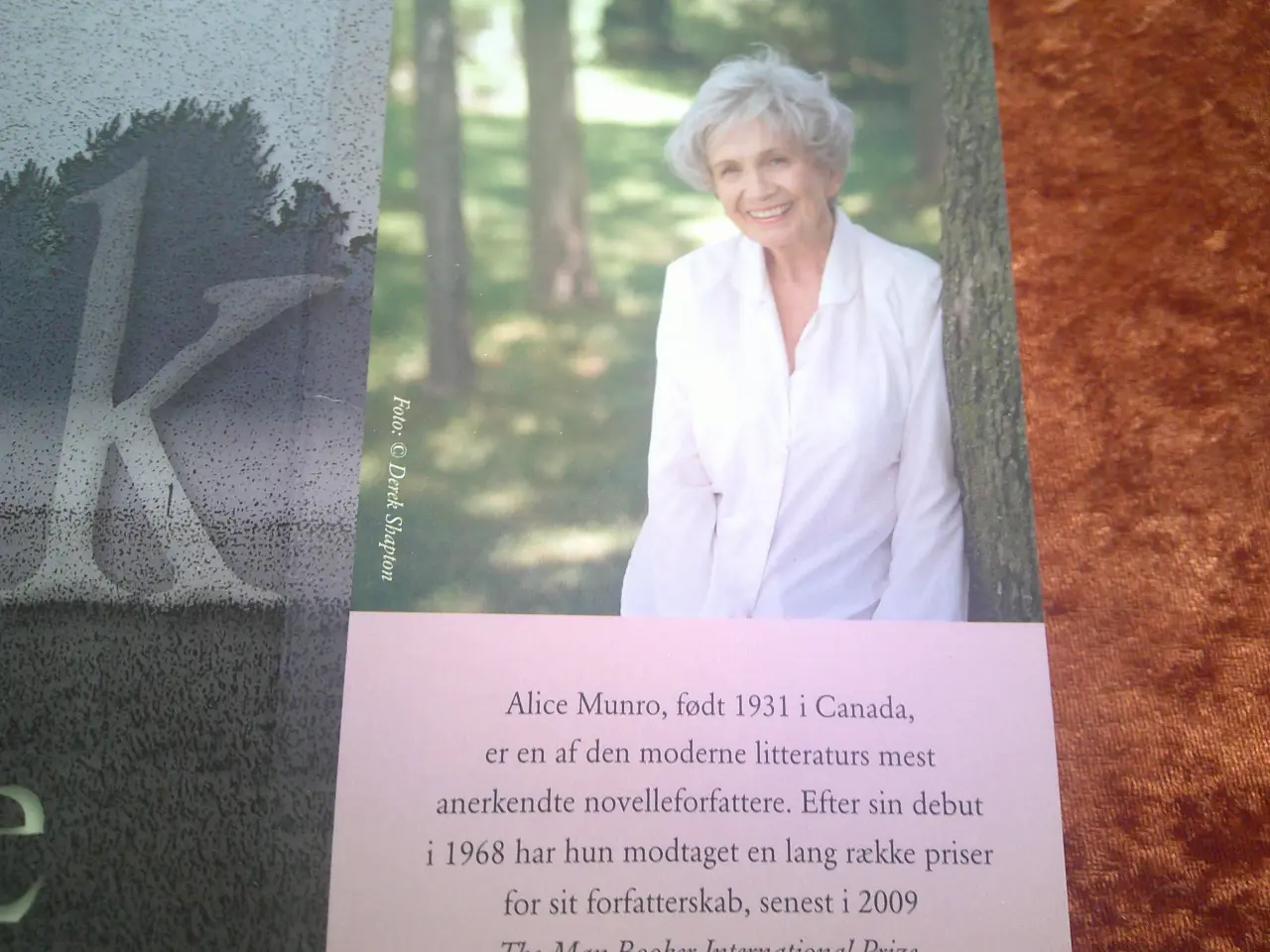 Billede 2 - Væk, Alice Munro,
