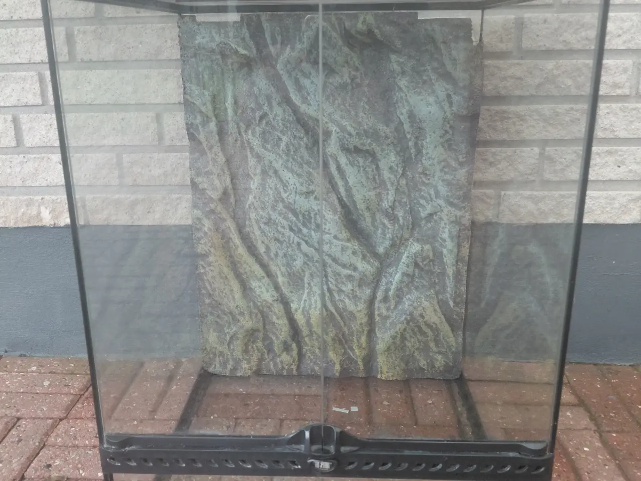 Billede 1 - Terrarium