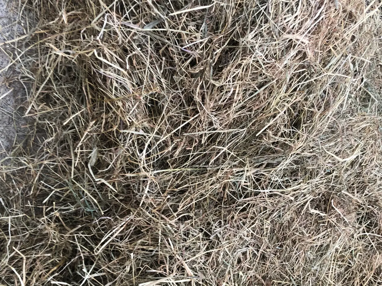 Billede 1 - Wrap hø
