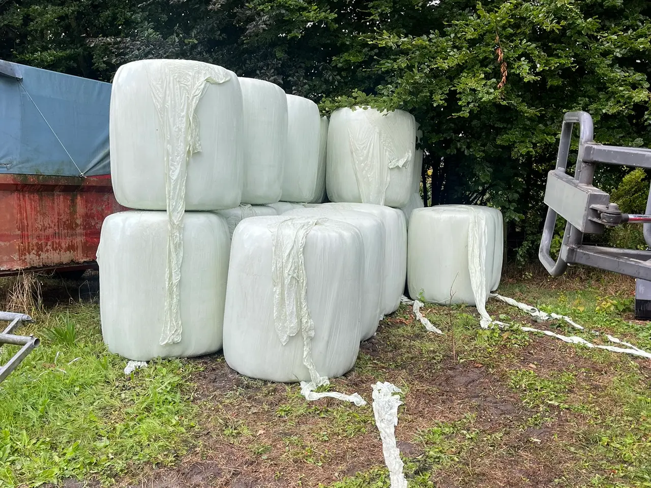 Billede 3 - 7321 Gadbjerg. rundwrap hø sælges, gratis levering