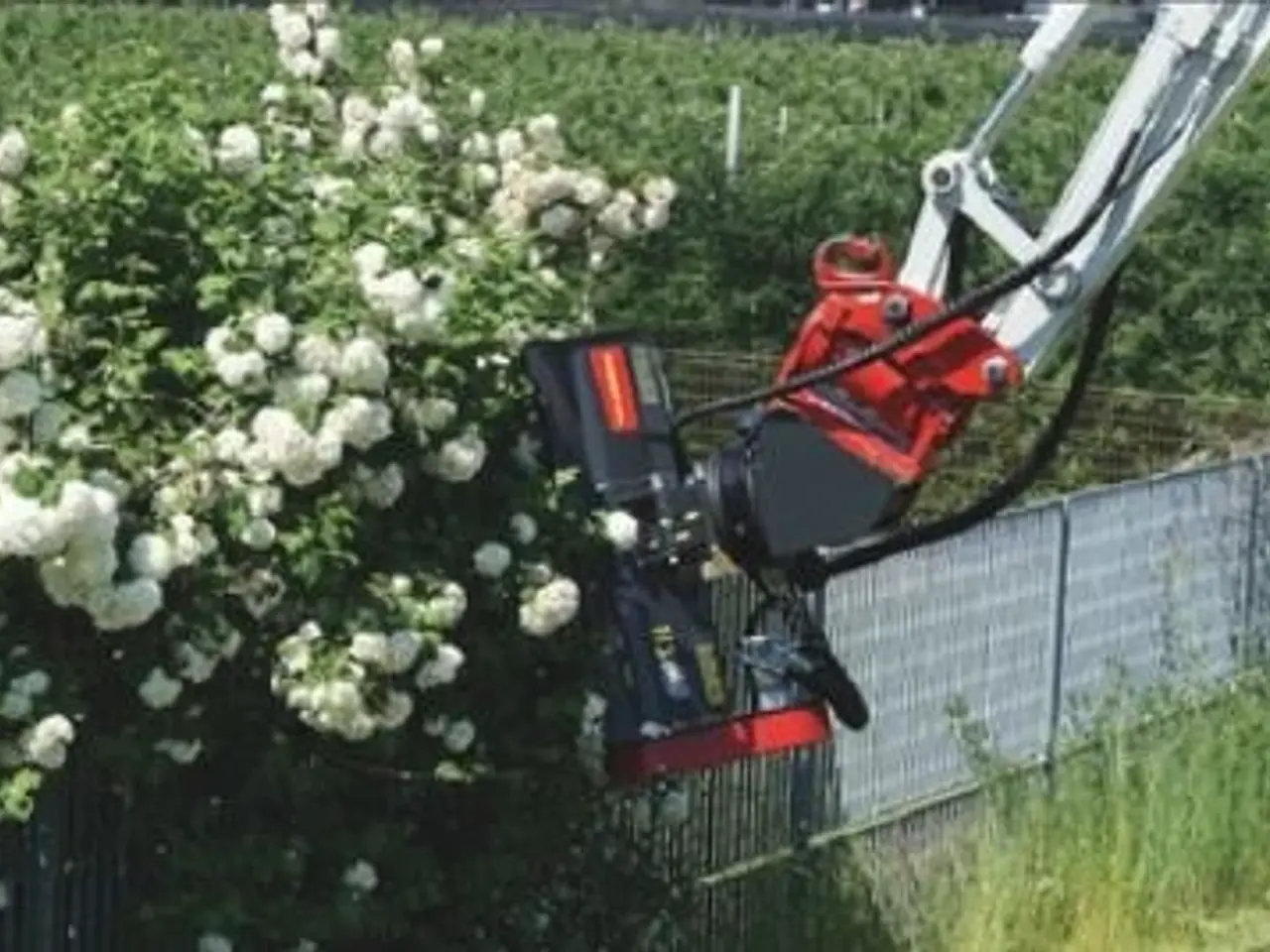 Billede 2 - Seppi Hydraulisk klippehoved H3 60 cm