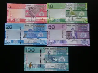 Gambia 5 Stk. Unc.