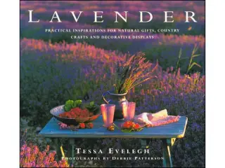Lavender