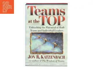 Teams at the top : unleashing the potential of both teams and individual leaders af Jon R. Katzenbach (Bog)