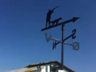 Vejrhane