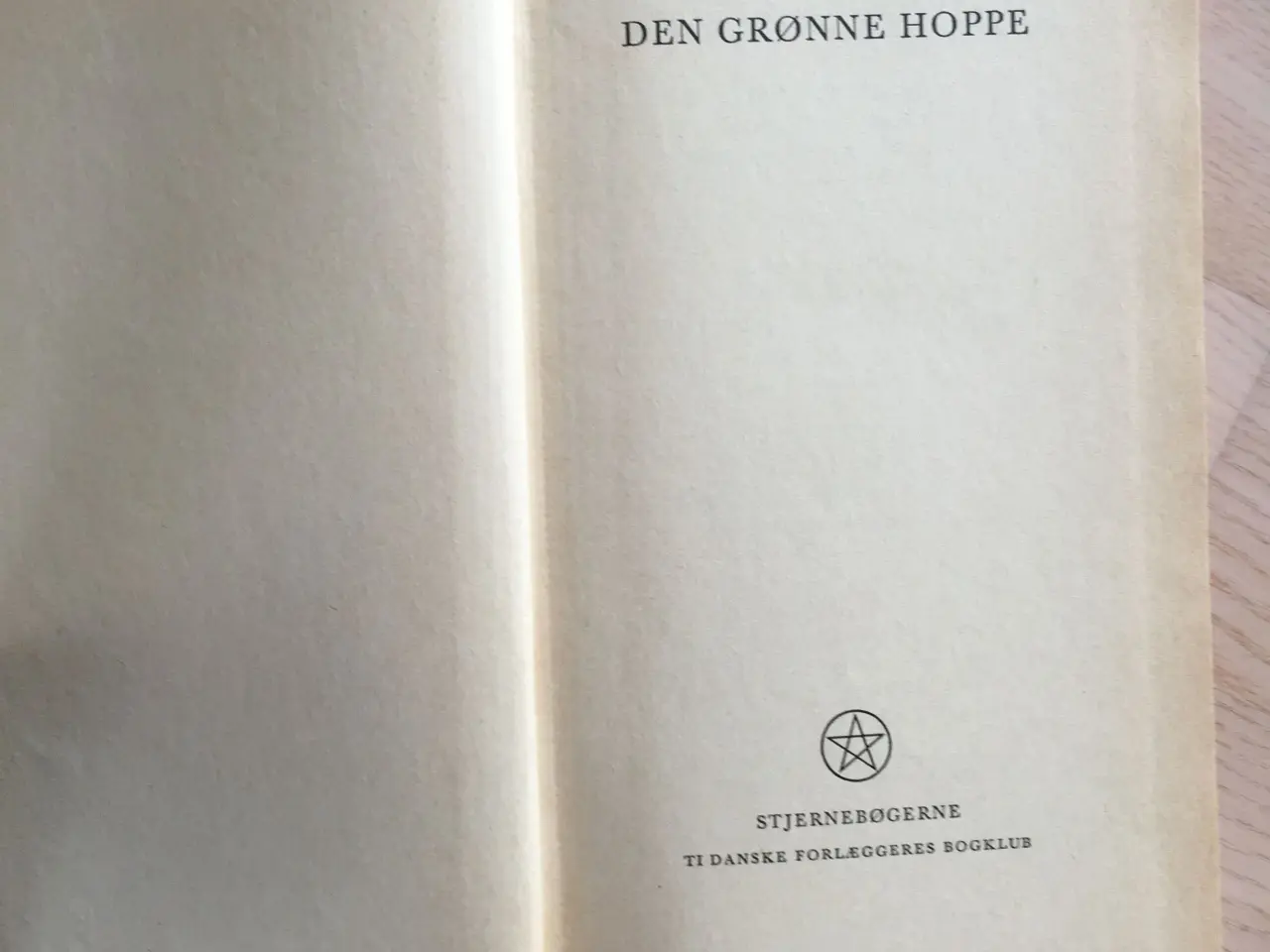 Billede 2 - Den grønne Hoppe