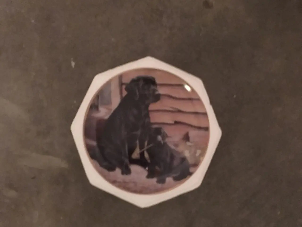 Billede 1 - Hunde platte