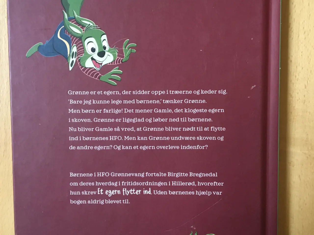 Billede 2 - Børnebog ”Et egern flytter ind”.