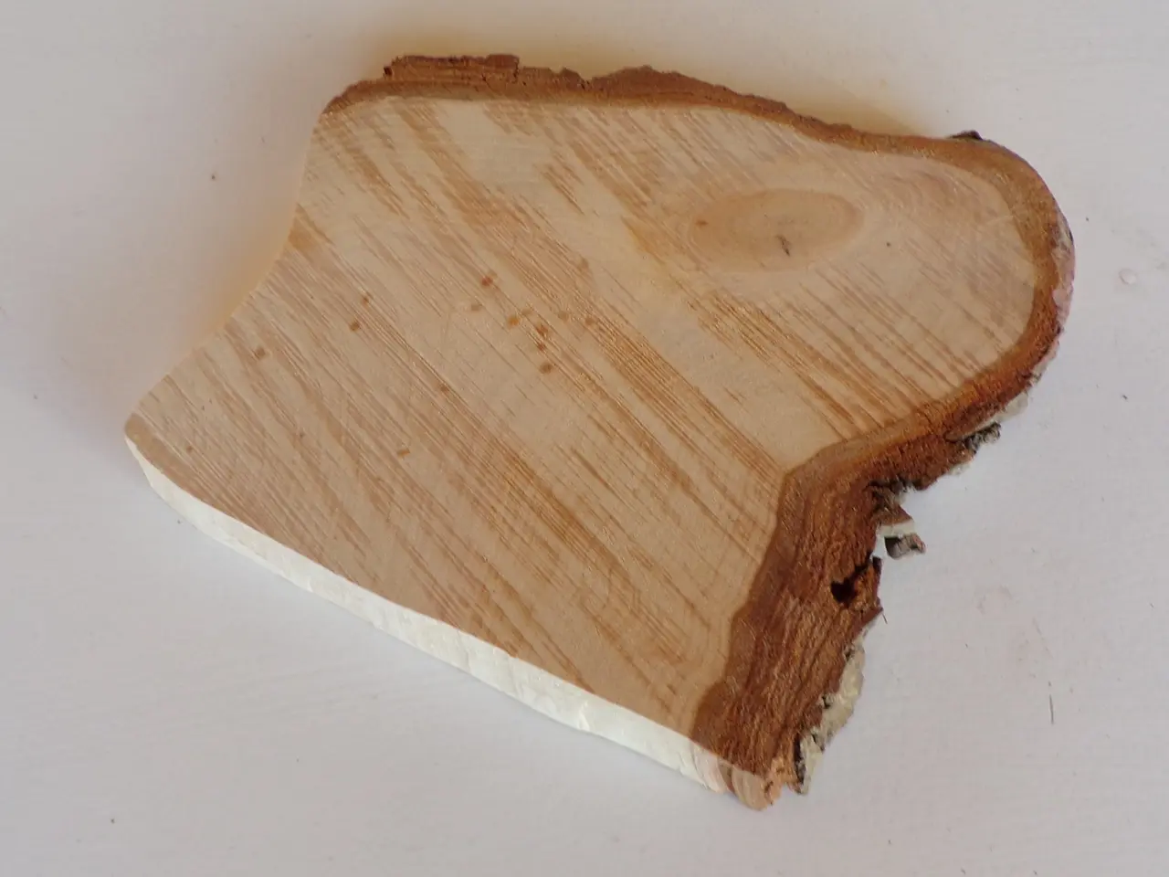 Billede 2 - NY Thuja træskive 20 cm til kreative projekter