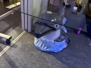 Delphin sofabord