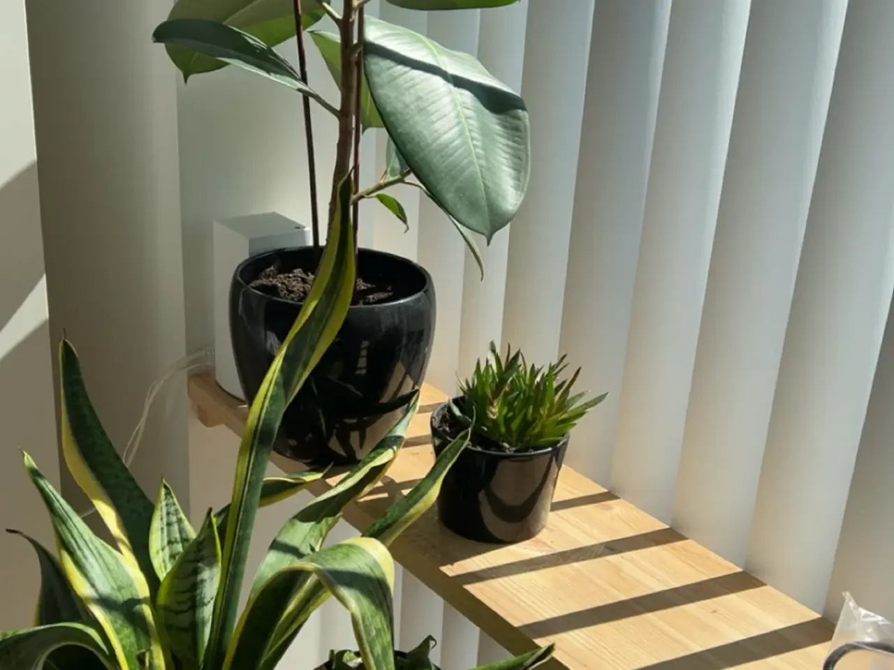 Billede 4 - 🌿 Sorte planteholdere på stativ – sælges samlet 