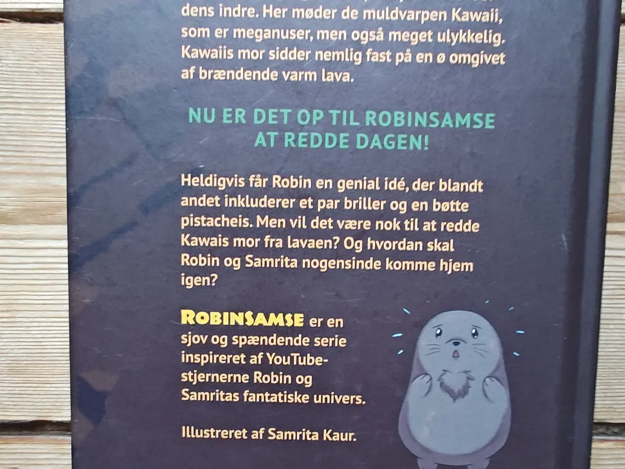 Billede 2 - RobinSamse og rejsen til jordens indre BOG
