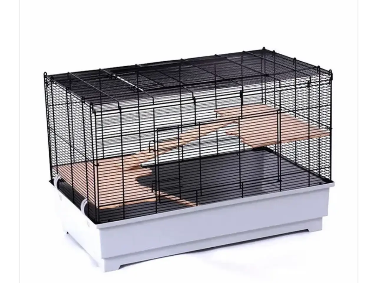 Billede 6 - Tamrotter