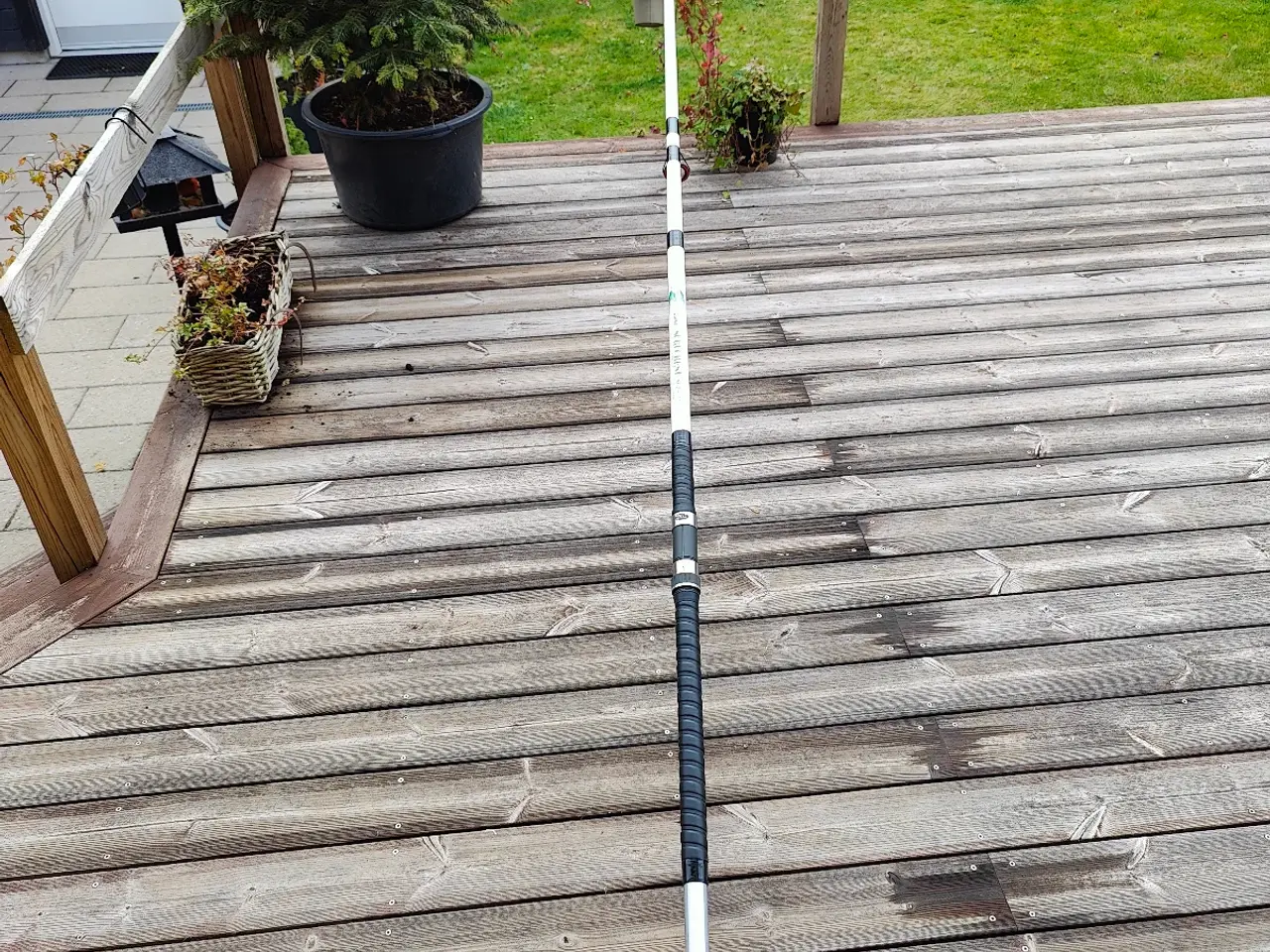 Billede 2 - Flot havstang daiva 