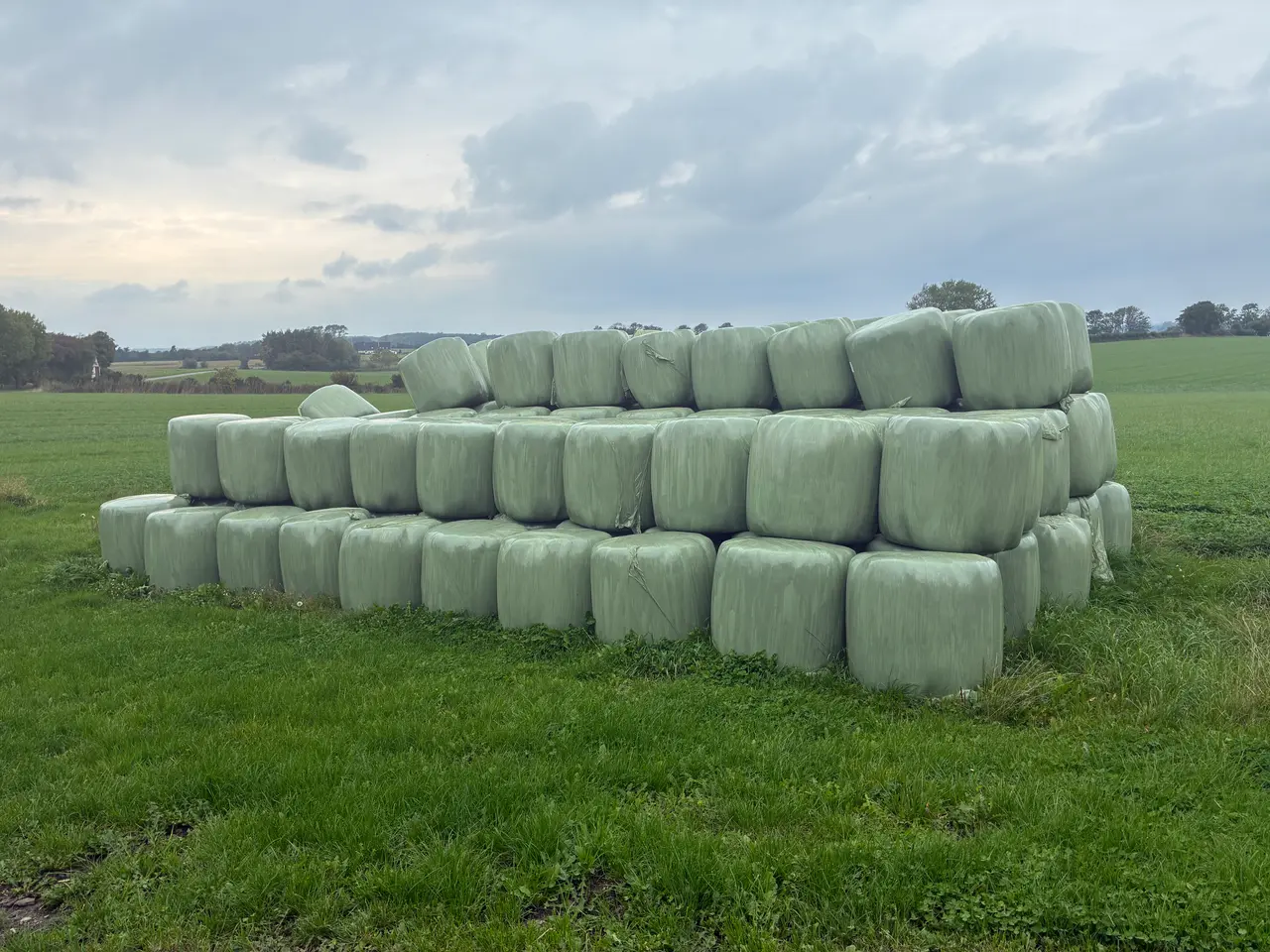 Billede 1 - Rigtigt fint heste wrap