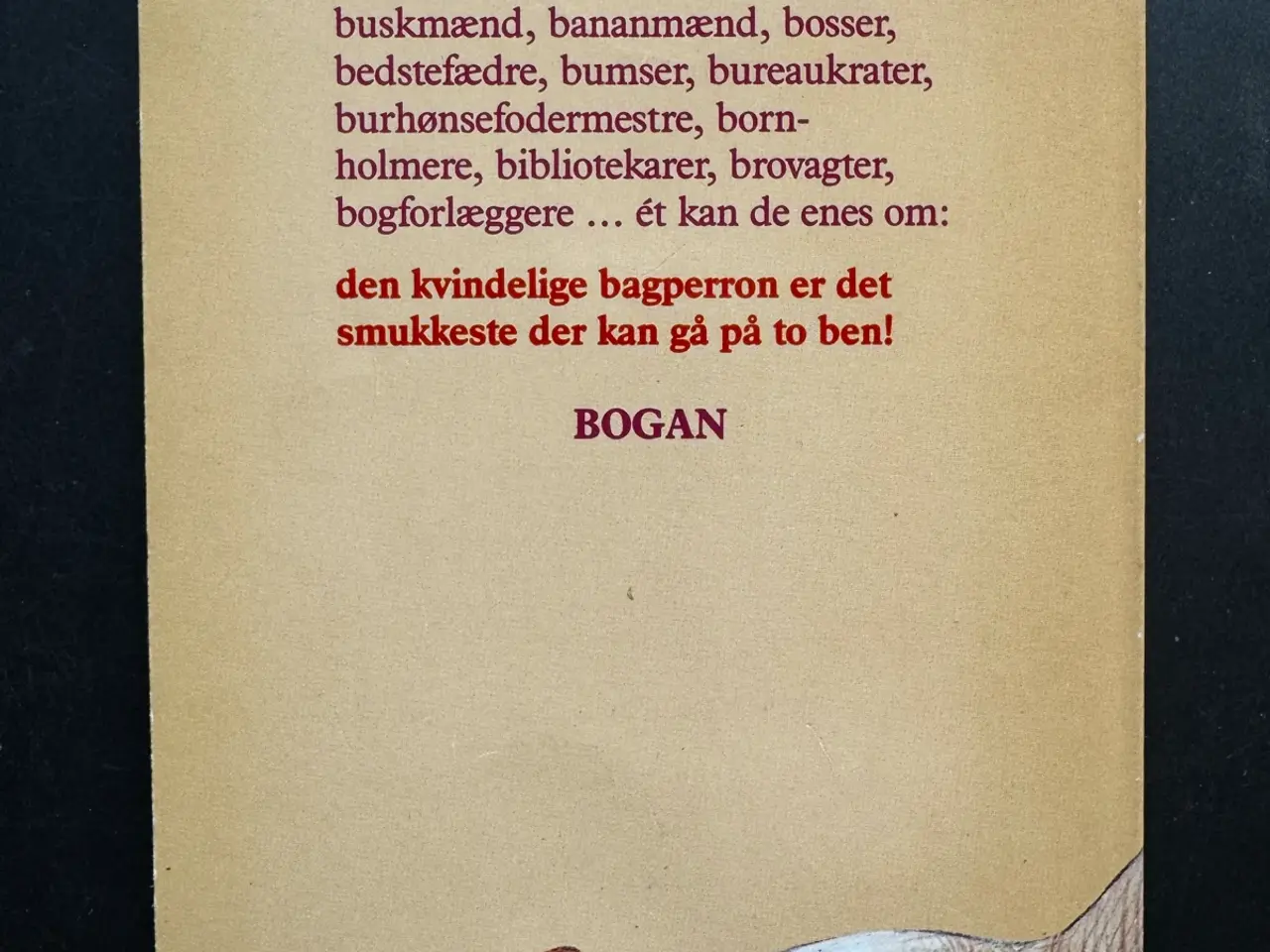 Billede 2 - BAGKLOG - © Ole Lindboe