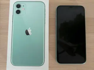 iPhone 11 i grøn