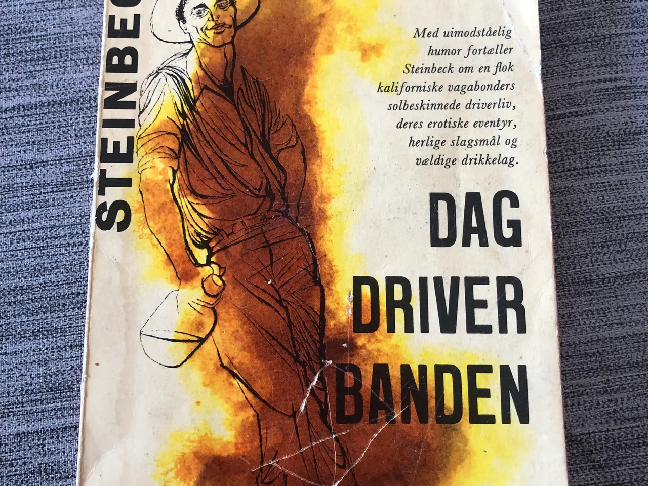 Billede 1 - Bog: Dagdriverbanden