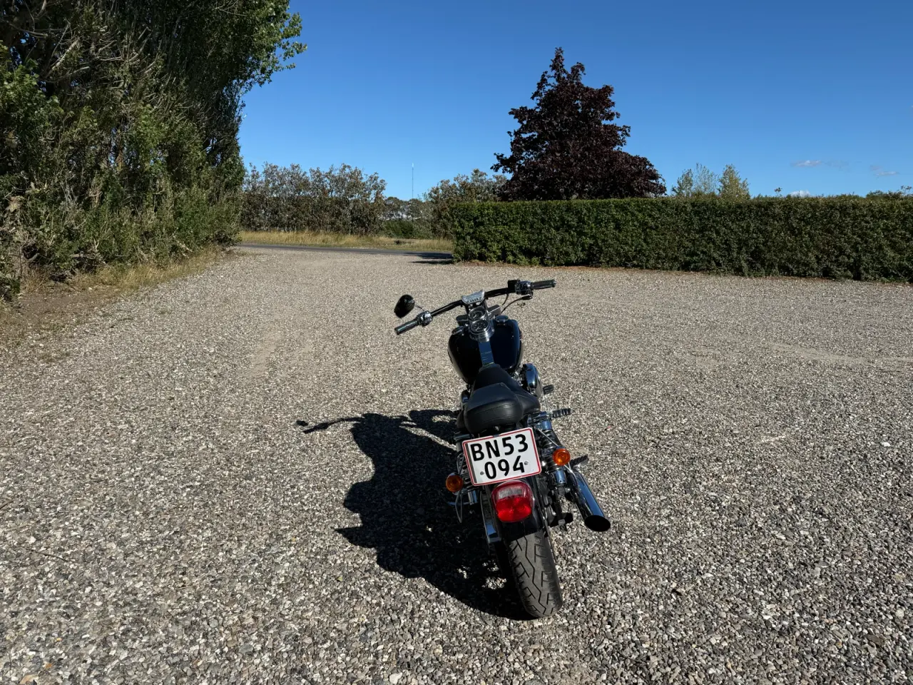 Billede 4 - Flot dyna low raider