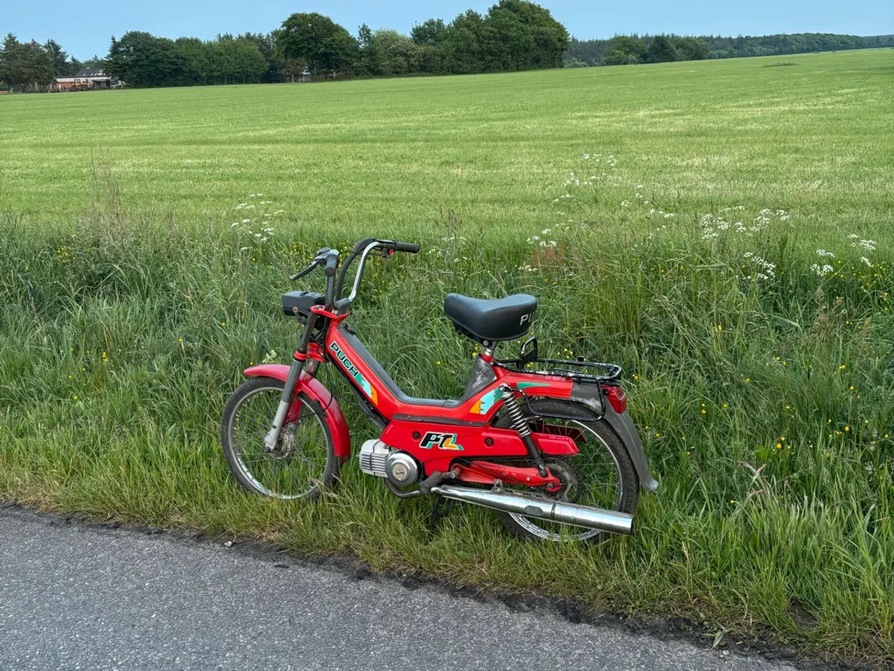 Billede 1 - Puch maxi 