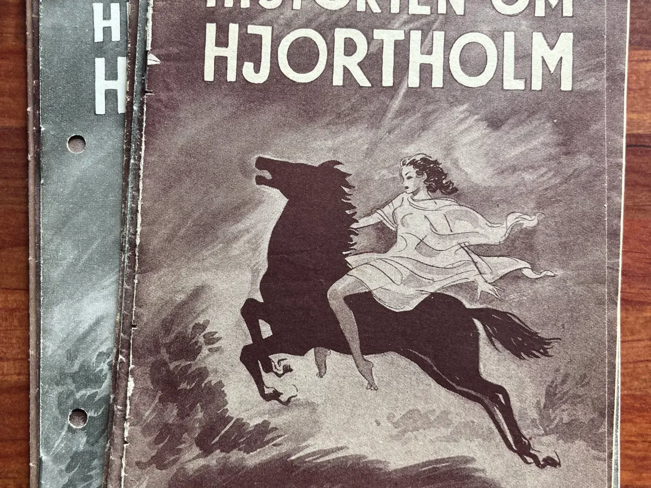 Billede 1 - Historien om Hjortholm