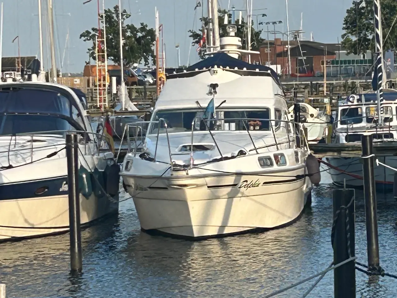 Billede 4 - Sealine 310