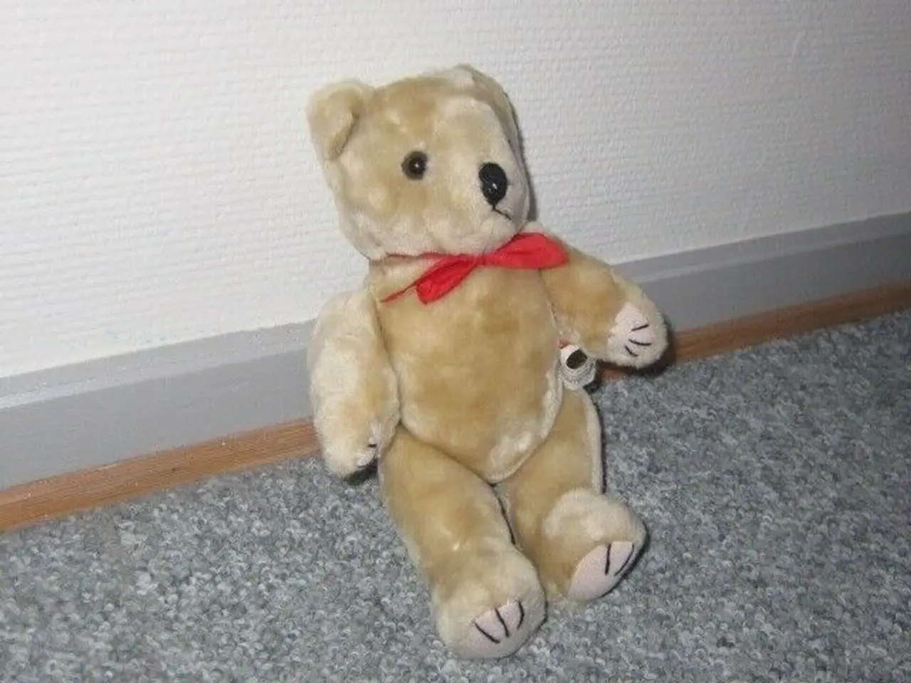Billede 2 - Bamse, Kuddy