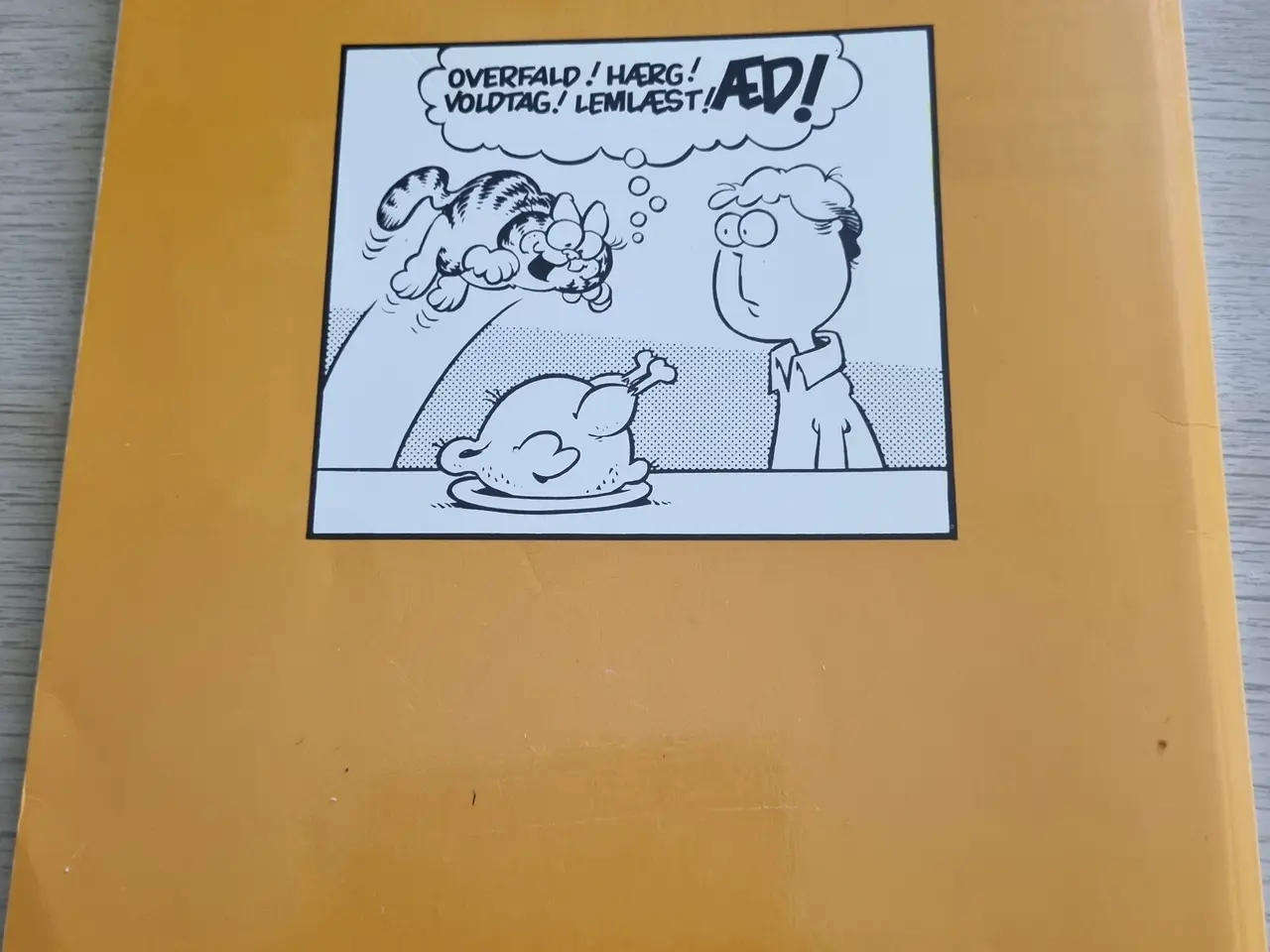 Billede 4 - Klassisk Garfield-Album nr.1, "Den lede hankat" 9