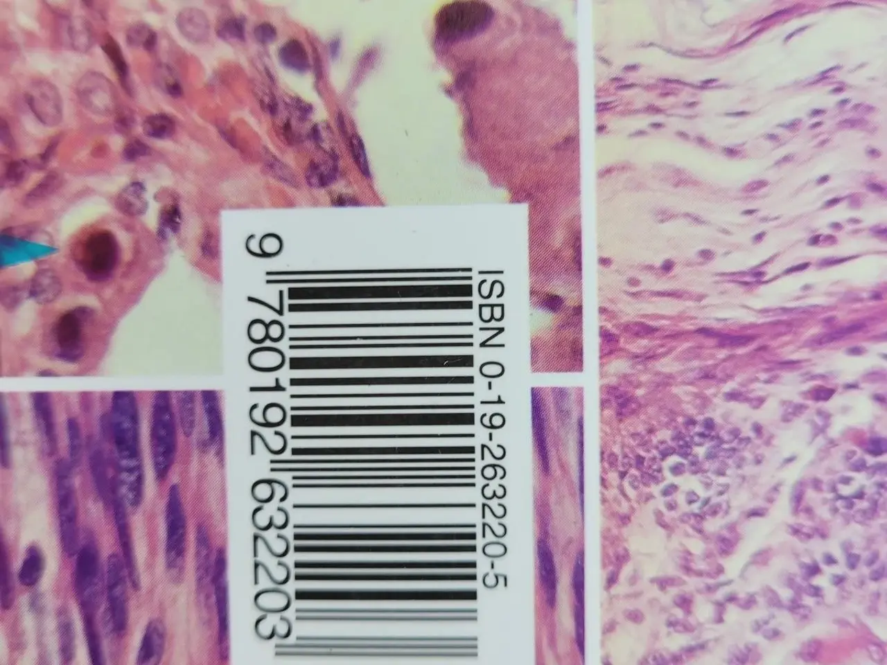 Billede 8 - Curran’s Atlas of Histopathology – 4. udgave