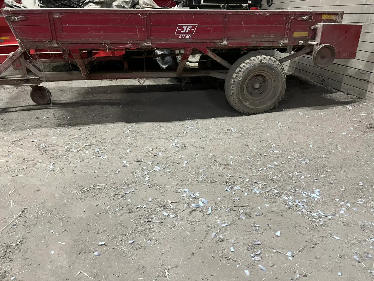 Billede 2 - JF AV 40