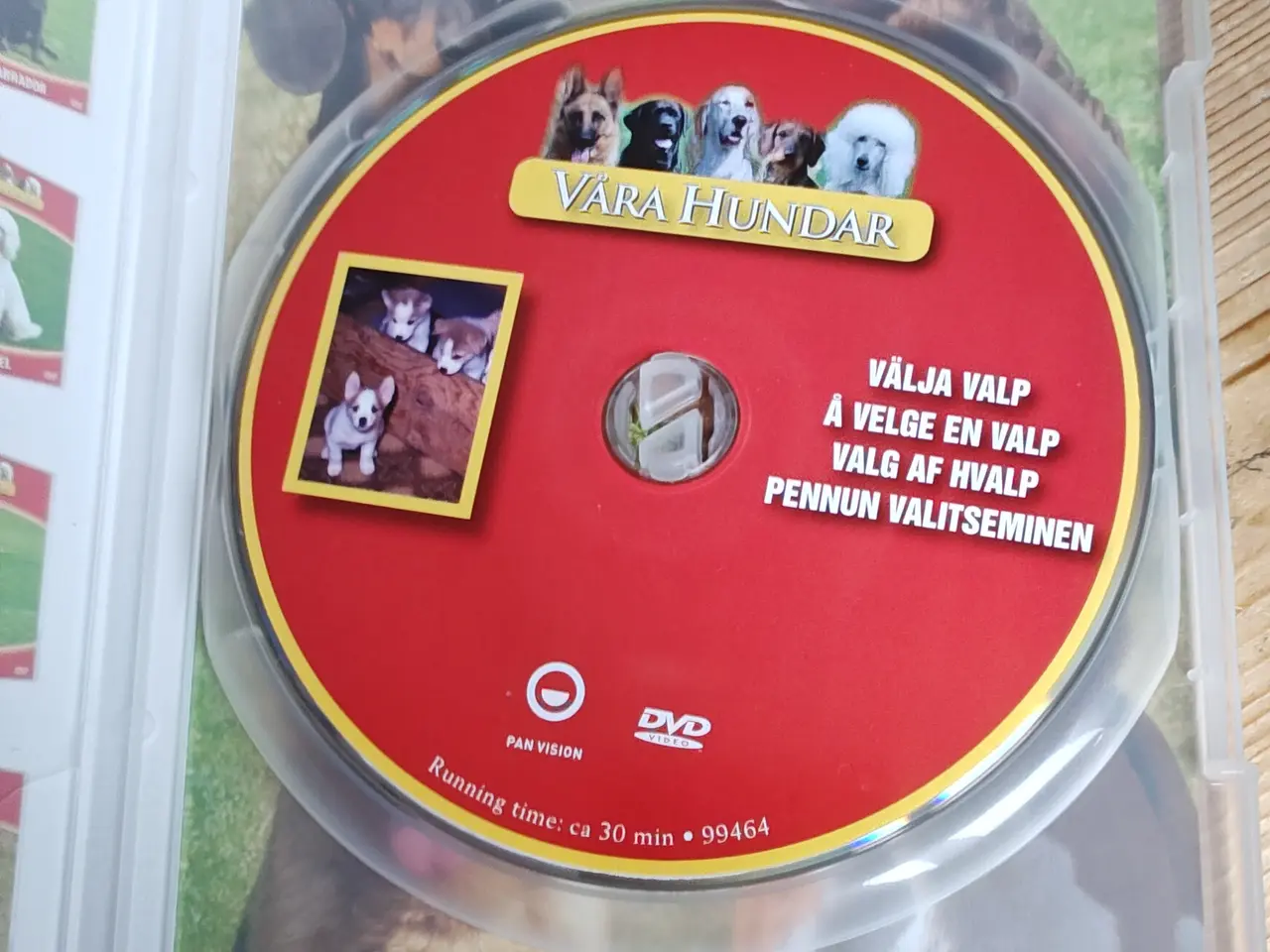 Billede 2 - Vores Hunde - Valg af Hvalp DVD