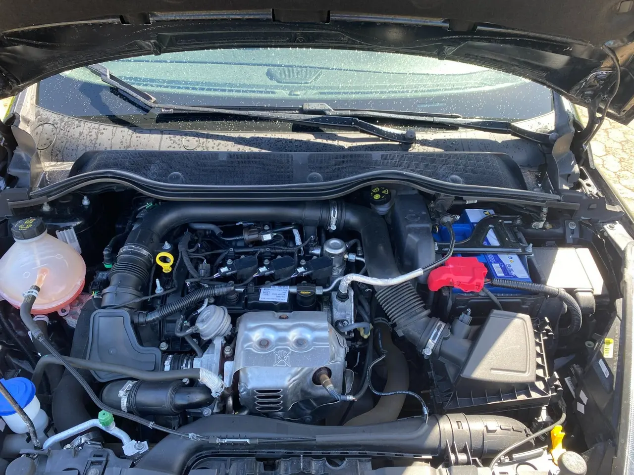 Billede 17 - Ford Fiesta 1,0 EcoBoost Titanium