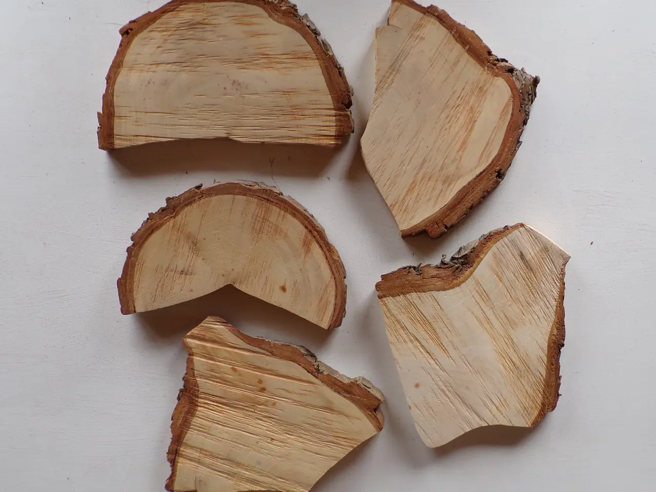 Billede 4 - 5 Thuja træskiver med bark i skæve faconer