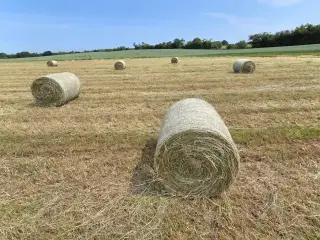 Wrap til heste, køer og får