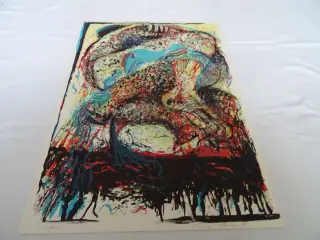 Doris Bloom litografi 74*58 cm