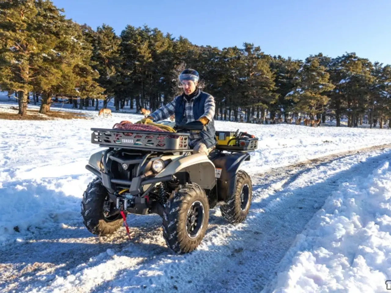 Billede 7 - Yamaha Kodiak 700 EPS Kiwami