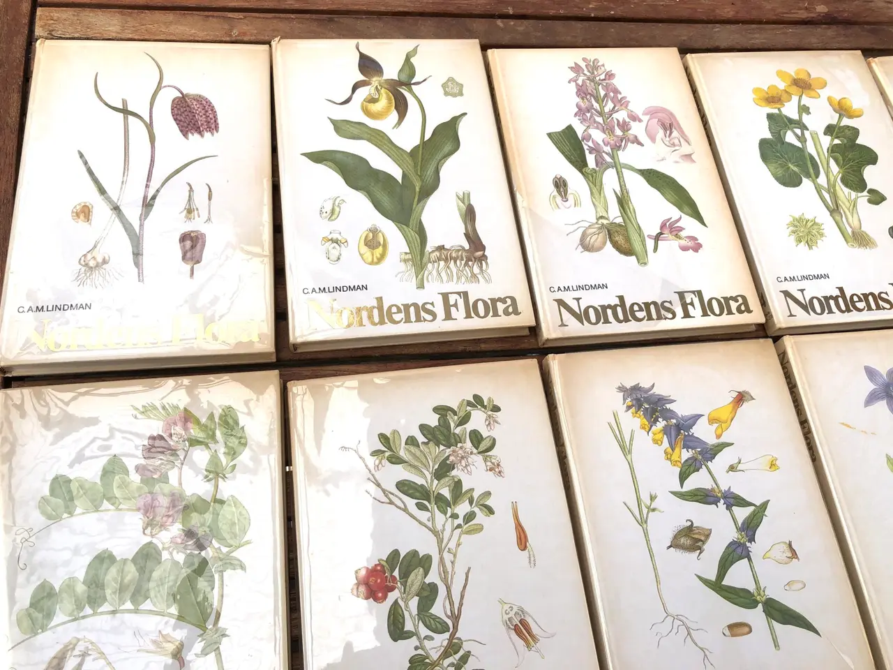 Billede 1 - Nordens Flora i 10 bind