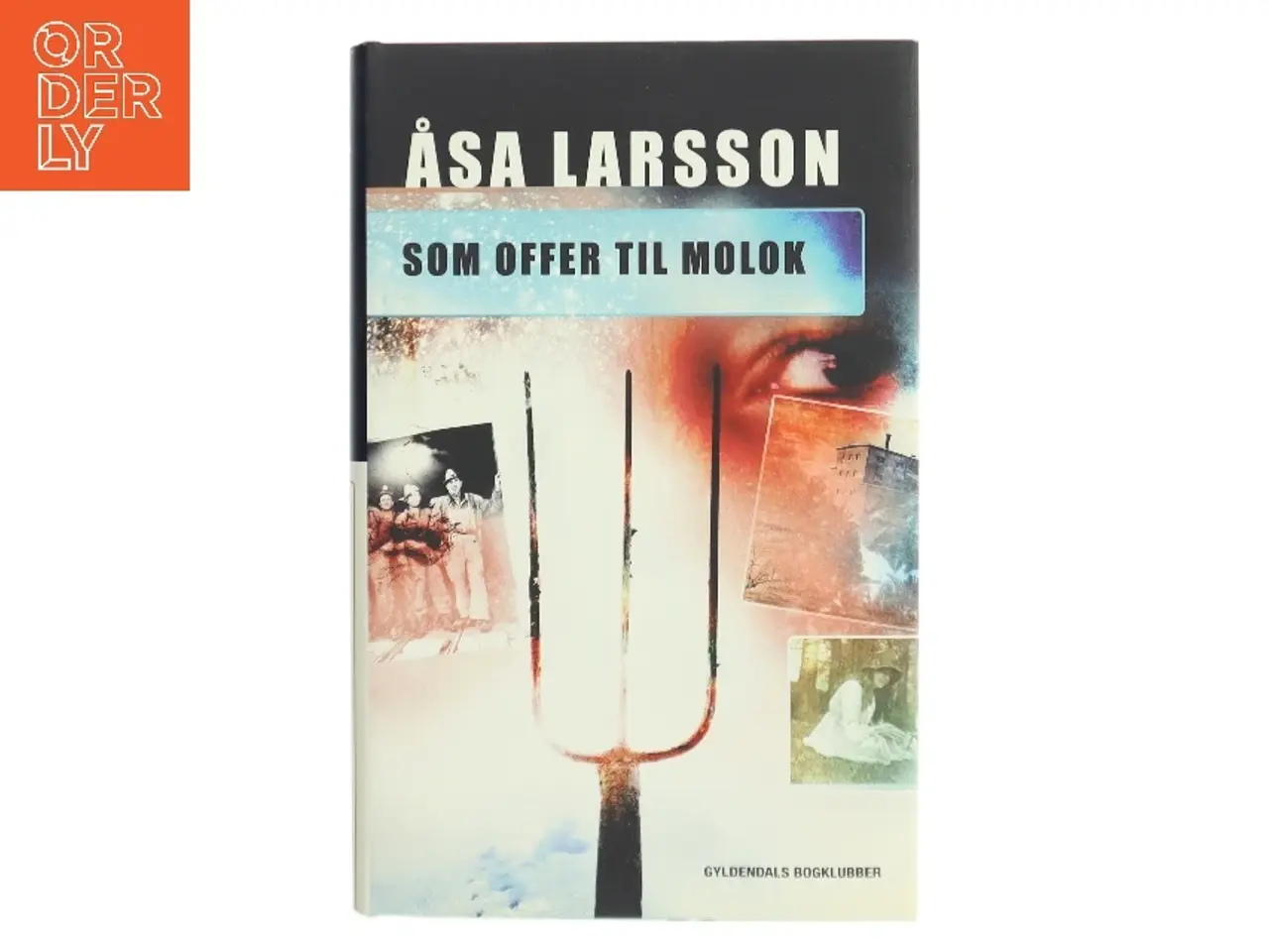 Billede 1 - Som offer til Molok af Åsa Larsson (Bog)