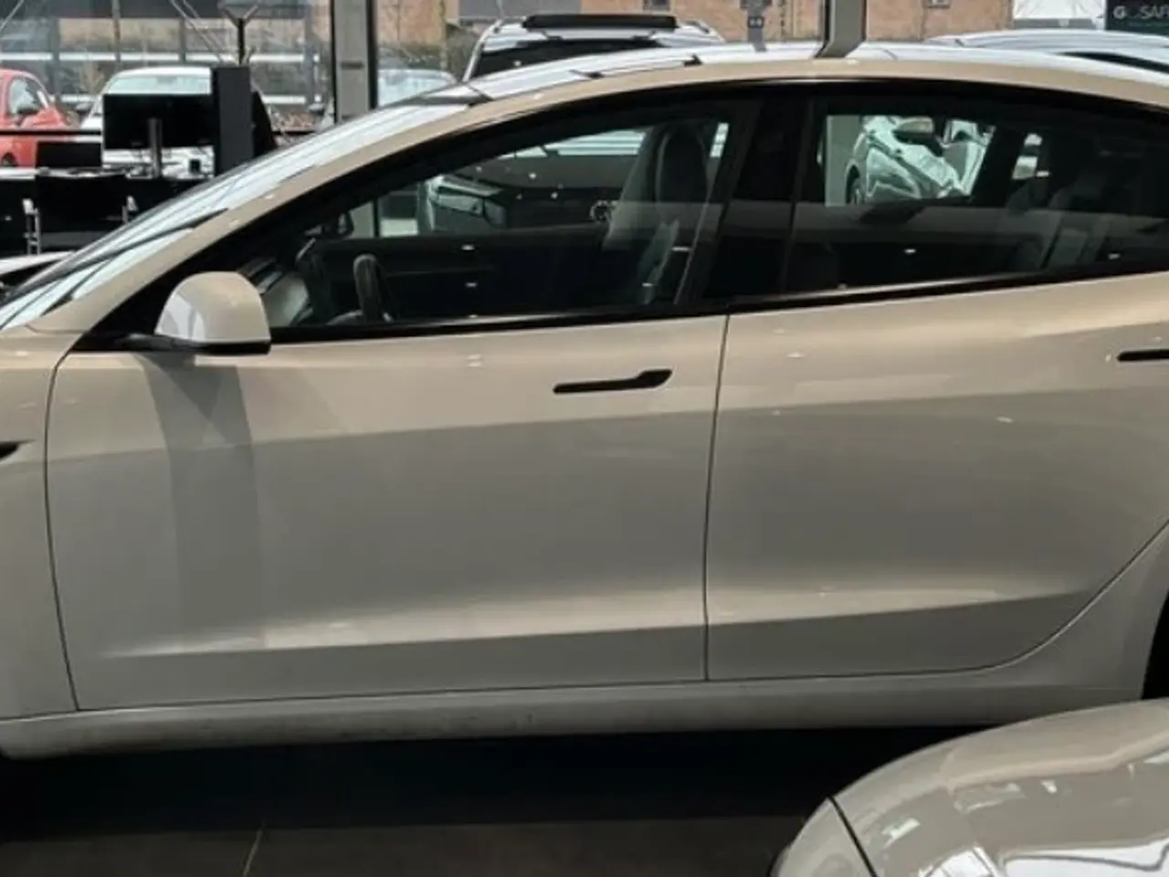 Billede 3 - Tesla Model 3 Standard Range+ RWD 2021