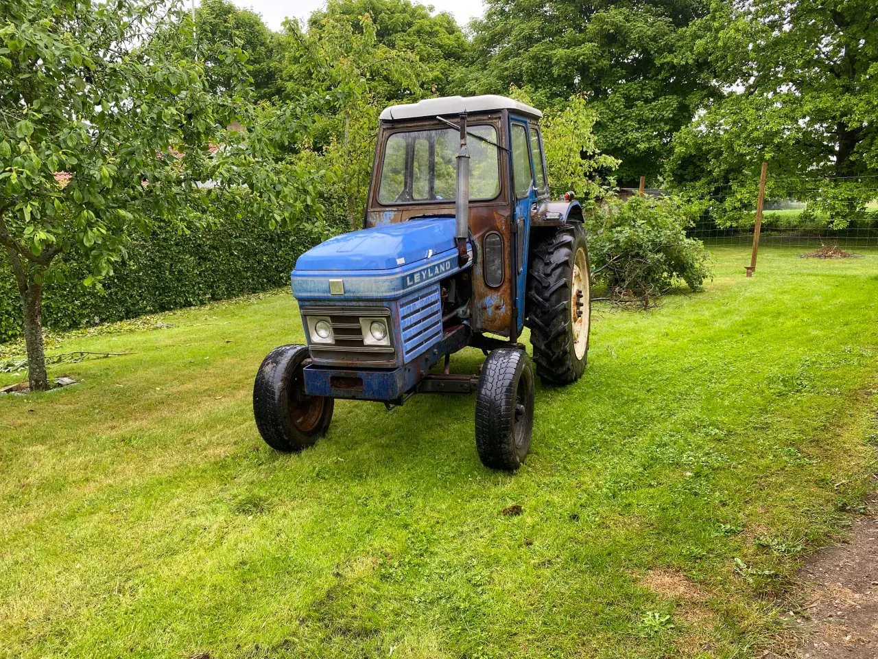 Billede 1 - Leyland 344