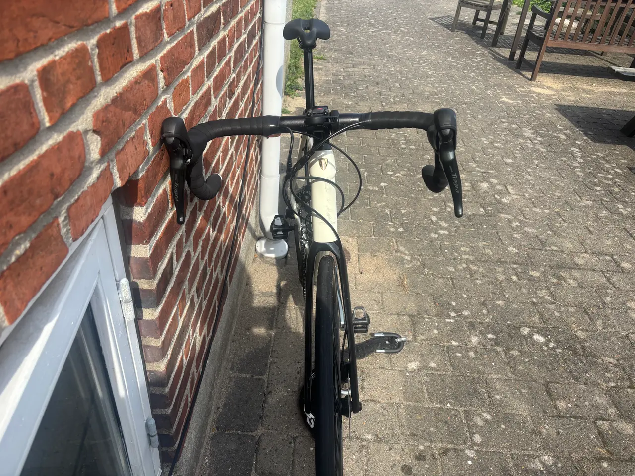 Billede 2 - Trek domane al 4